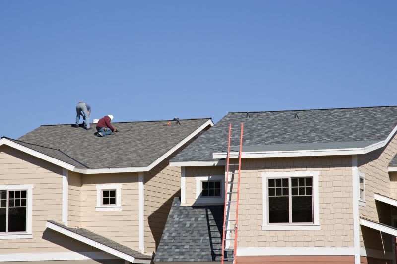 Roof Shingles Repair