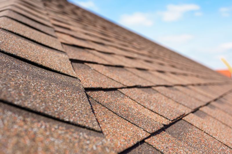 Variety of Roofing Materials